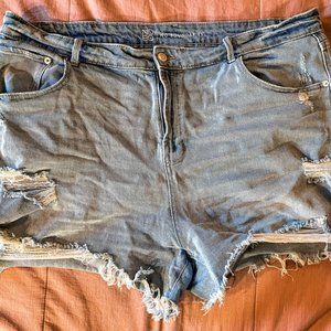 No Boundaries Light Denim Short - Size 21